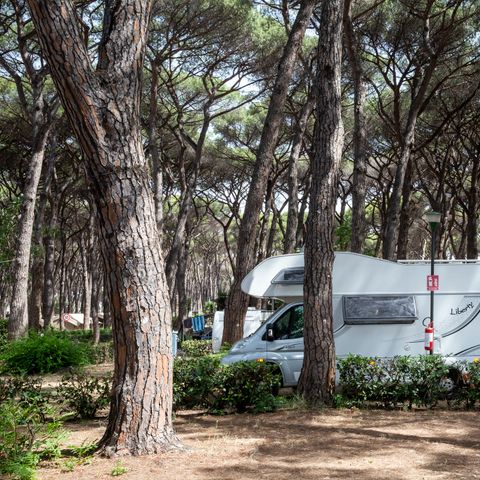 Kampeerplaats - Camper, Tent-aanhangwagen, Caravan