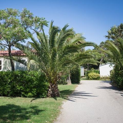 BUNGALOW 4 personnes - Méditerranée, 2 chambres