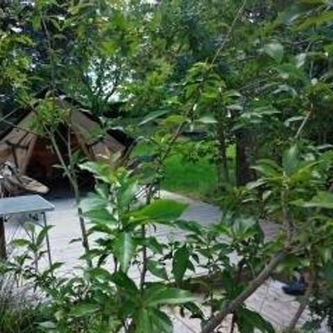 TENTE 2 personnes - Tente Bivouac - 1 pièce -Terrasse 24m2 1/2 pers