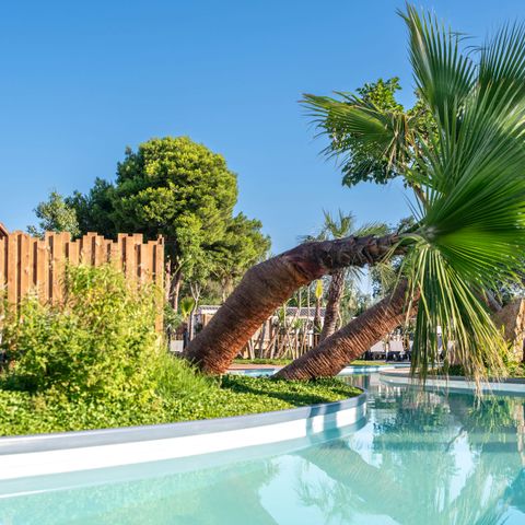 Camping Club Les Tamaris - MS Vacances - Camping Pyrénées-Orientales - Image N°6