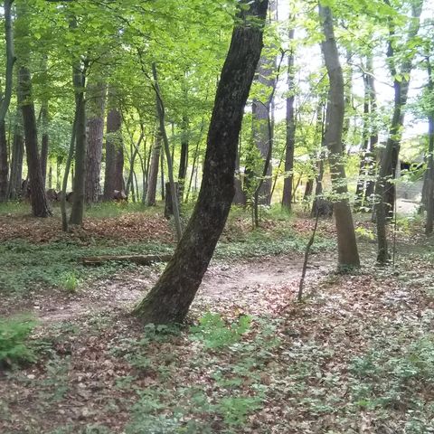 PLOT - Fougère: with electricity, near toilet block, semi-shaded