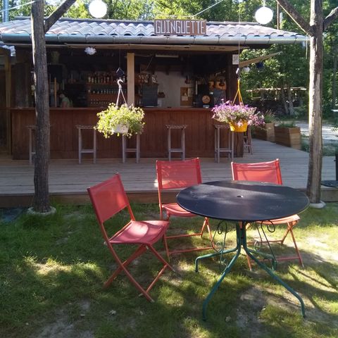 Pitch - Murier: very shady, undergrowth, not overlooked, no electricity