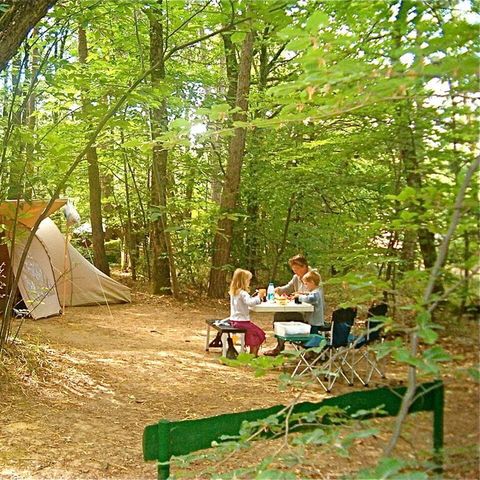 Kampeerplaats - Mol: halfschaduw, met elektriciteit in het hart van het bos