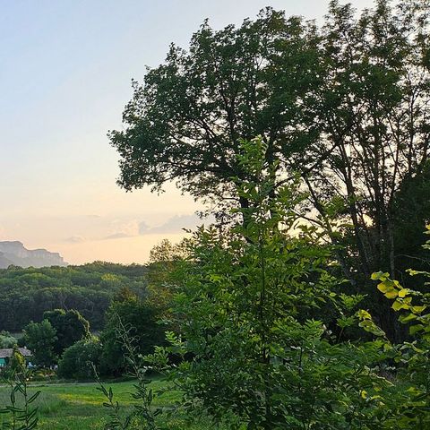 Camping L'Ermitage du Grand Bois - Camping Drôme - Afbeelding N°5