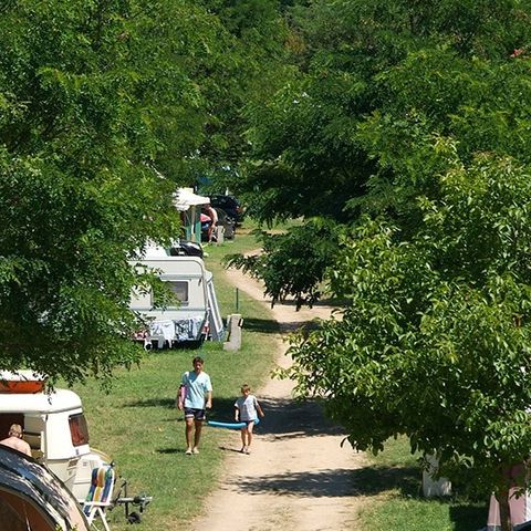 PARCELA - Paquete confort: tienda, caravana o autocaravana / 1 coche / electricidad