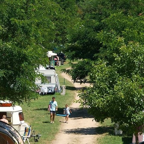 Pitch - Comfort package: tent, caravan or camper / 1 car / electricity