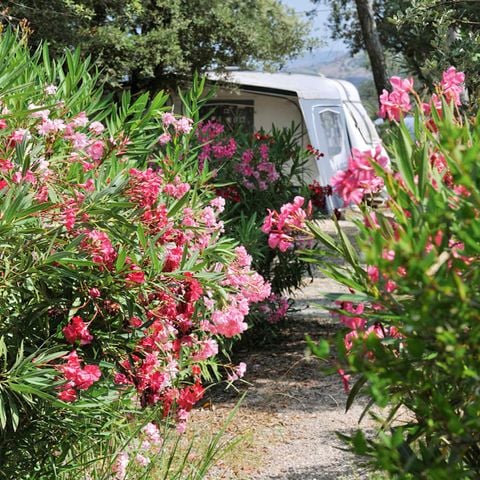 PARCELA - RCN Domaine de la Noguière | Parcela de camping (2 personas incluidas)