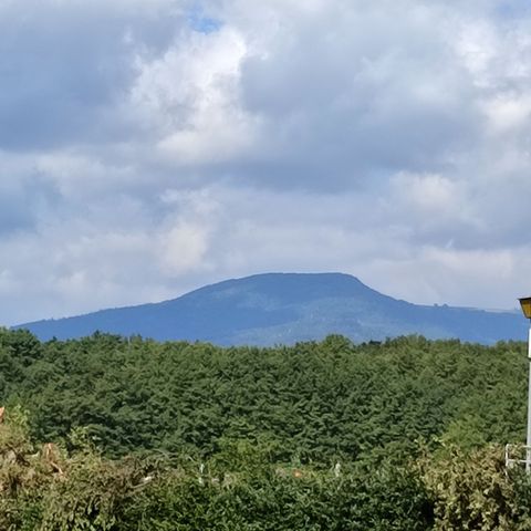 PLOT - Comfort package (1 tent, caravan or camper / 1 car / electricity)