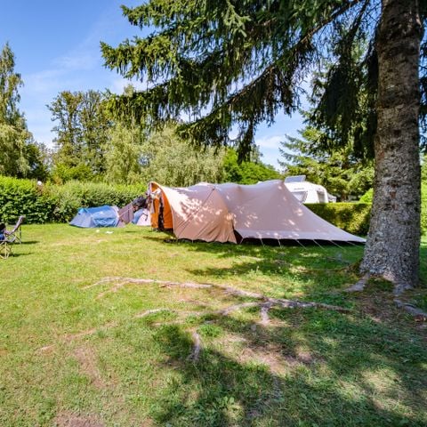 EMPLACEMENT - Forfait Privilège - superficie > 150 m² (1 tente, caravane ou camping-car / 1 voiture / électricité)