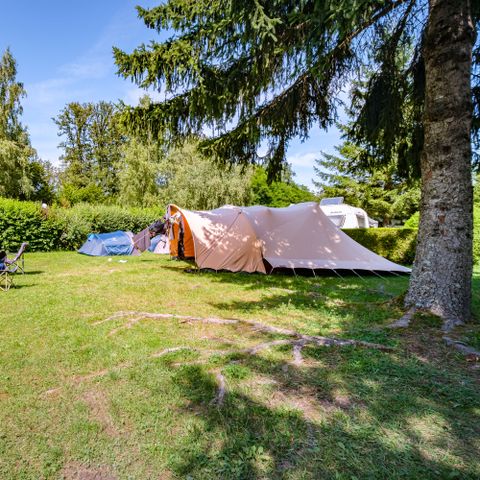 STAANPLAATS - Privilege pakket - oppervlakte > 150 m² (1 tent, caravan of camper / 1 auto / elektriciteit)