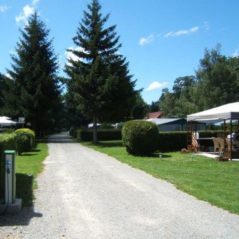 Pitch - Privilege package - area > 150 m² (1 tent, caravan or camper / 1 car / electricity)