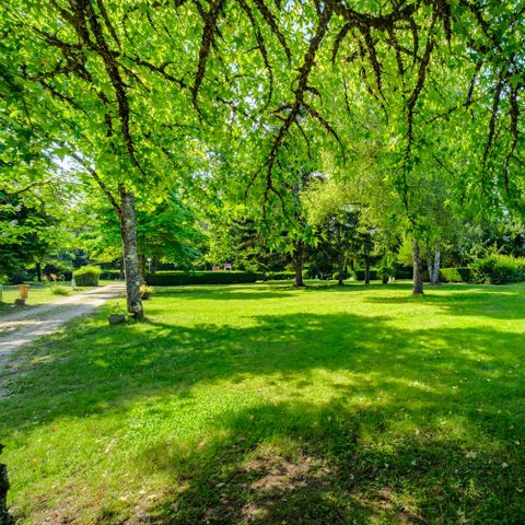 PARCELA - Paquete privilegio - superficie > 150 m² (1 tienda, caravana o autocaravana / 1 coche / electricidad)