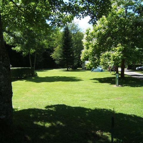 PARCELA - Paquete privilegio - superficie > 150 m² (1 tienda, caravana o autocaravana / 1 coche / electricidad)