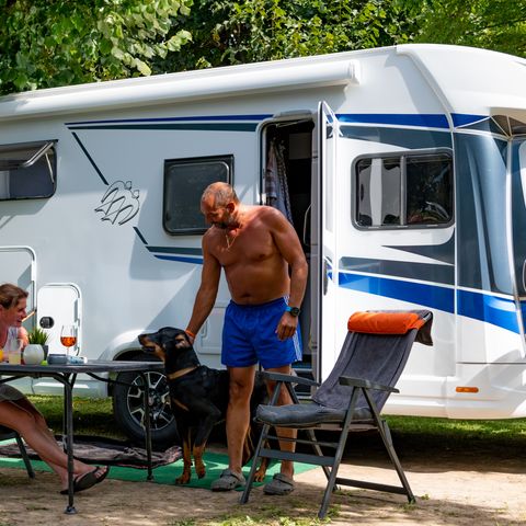 STAANPLAATS - Standaard steek