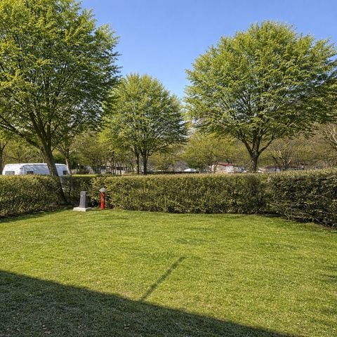 Pitch - Superior location