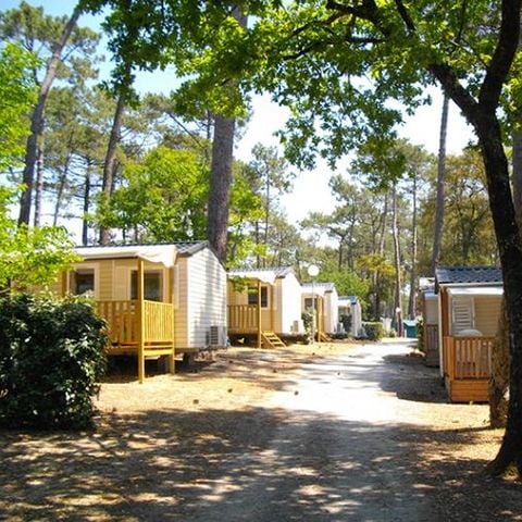 BUNGALOW 8 personnes - Clim'