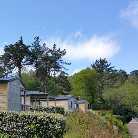 Mobile home 4 persons - PREMIUM + 2 BEDROOMS