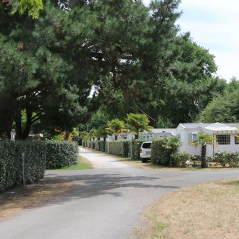 Camping Les 3 Coups - Camping Charente-Maritime - Image N°2