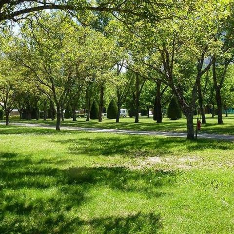 PLOT - Pitch for 1 tent, caravan or motor home + 1 car