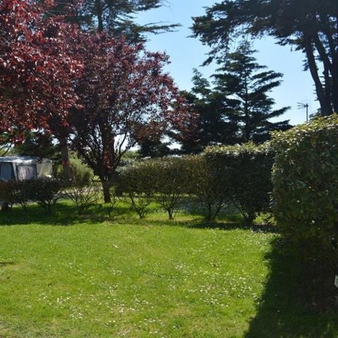 PLOT - ACSI MEMBER - off-season ACSI rate / 1 dog included / 10A electricity included