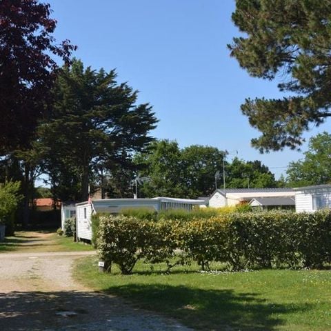 PLOT - ACSI MEMBER - off-season ACSI rate / 1 dog included / 10A electricity included