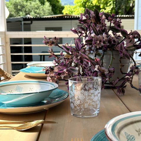 Mobilheim 4 Personen - SENZA VISTA LAGO Lord 50mq