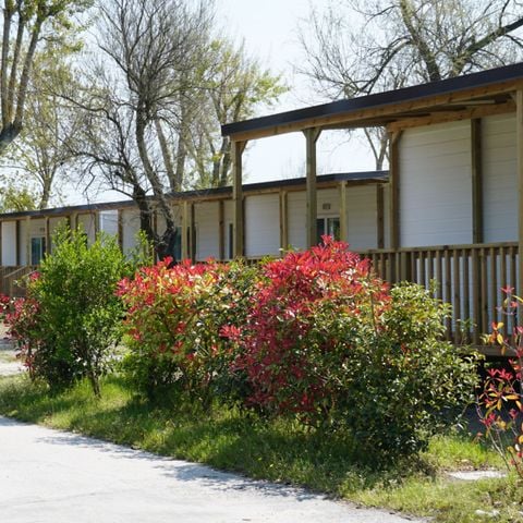 MOBILHOME 5 personnes - Lodge Superior Dog