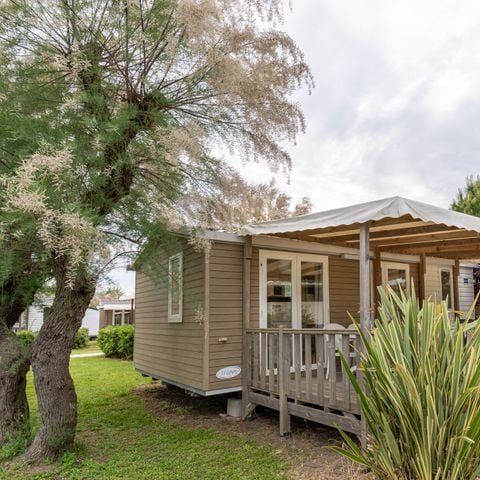 LODGE 4 Personen - Lodge Deluxe Haustiere nicht erlaubt