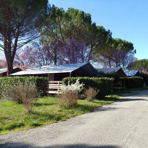 Tent 5 persons - FREE FLOWER without sanitary facilities or water supply