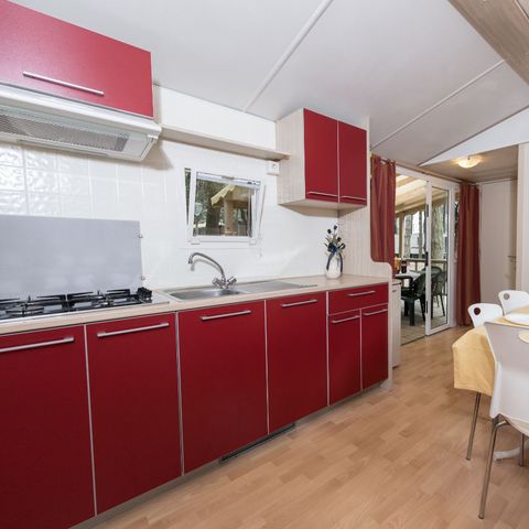 Mobile home 4 persons - MIMOSA (includes: swimming pool, gym and beach service)