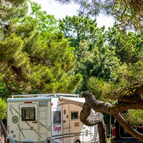 Kampeerplaats - 1 caravan of 1 tent + 1 auto of motor 60m2