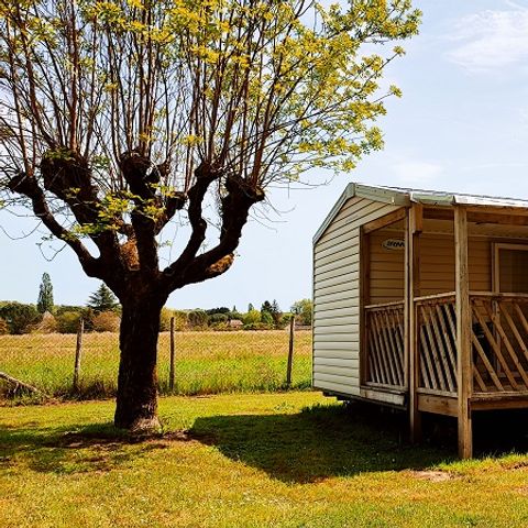 Mobile home 4 persons - Mobil-Home Confort 25m² Loggia - 2 bedrooms + Covered terrace 4 pers
