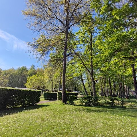 Stellplatz - Komfort -(1 Zelt, Wohnwagen oder Wohnmobil / 1 Auto / Strom 10A)