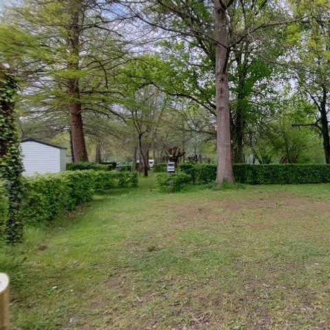 Stellplatz - Komfort -(1 Zelt, Wohnwagen oder Wohnmobil / 1 Auto / Strom 10A)