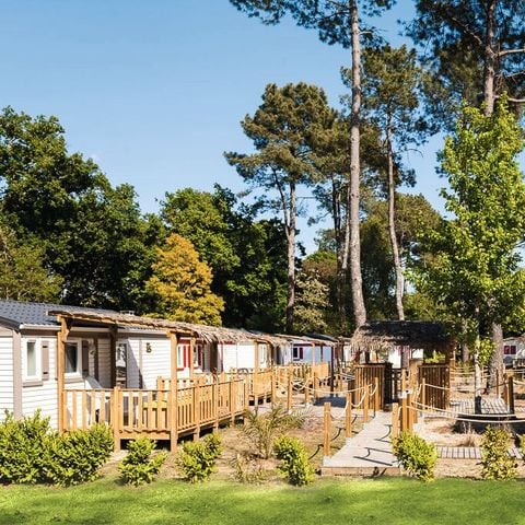 Stacaravan 6 personen - COSY