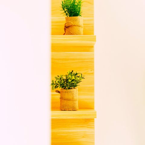 MOBILE HOME 2 people - Elena Confot AC