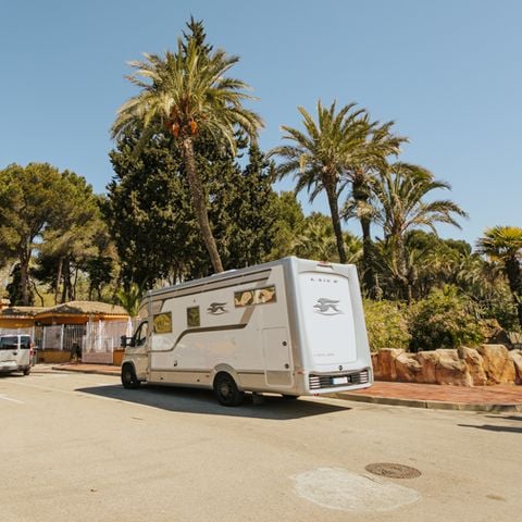 PIAZZOLA - Posizione XXL