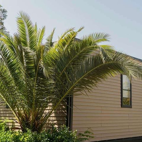 Bungalow 4 persone - CROMA