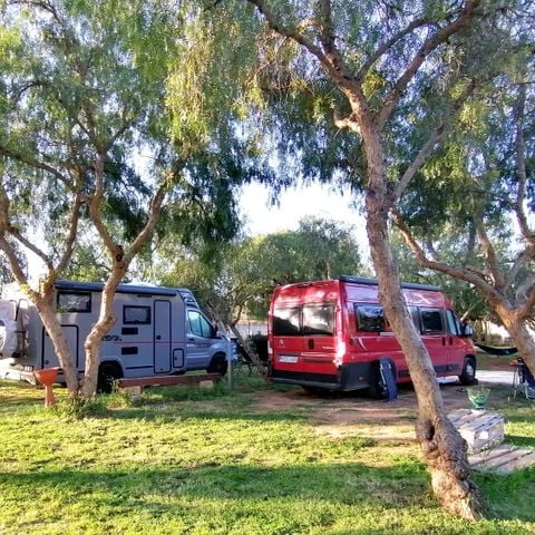 Pitch - Motorhome/ Caravan