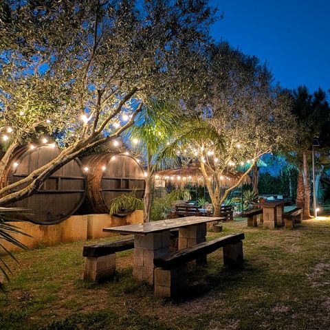 PIAZZOLA - Camper Big