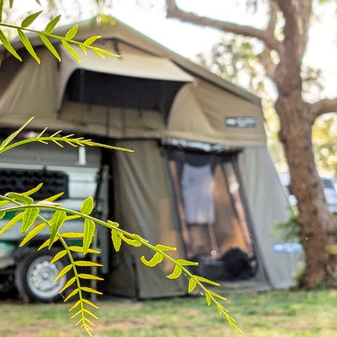 PIAZZOLA - Camper Big