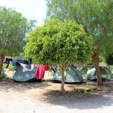 Pitch - Large Location