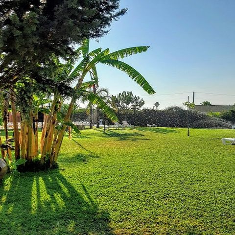 Camping Lilybeo Village Camping Lilybeo Village - Camping Trapani - Image N°16