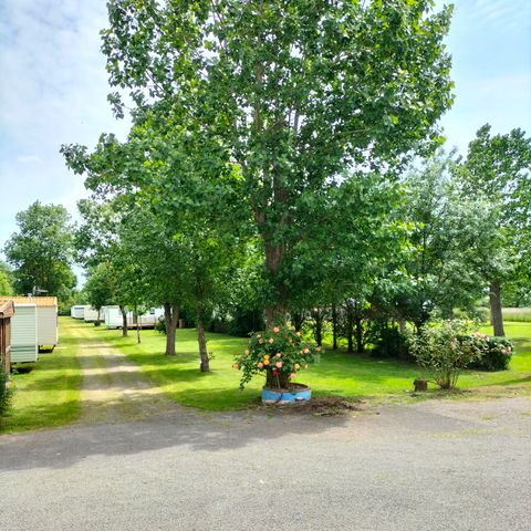 Camping Au Vent des Marais - Camping Vendée - Image N°2