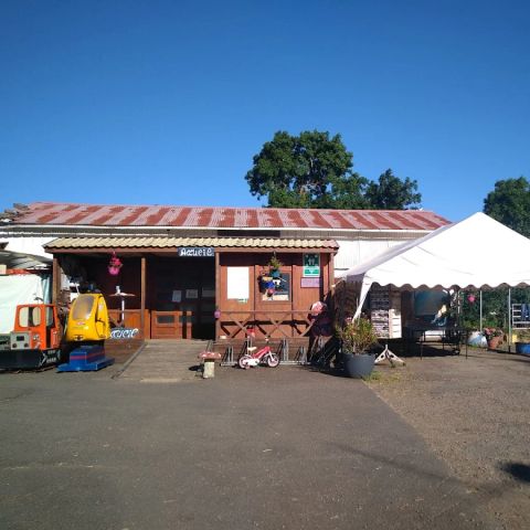 Camping Au Vent des Marais - Camping Vendée - Image N°4