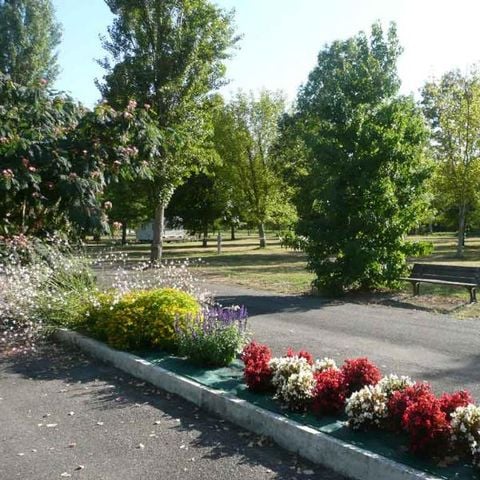 PIAZZOLA - Piazzola con tipo di veicolo 4