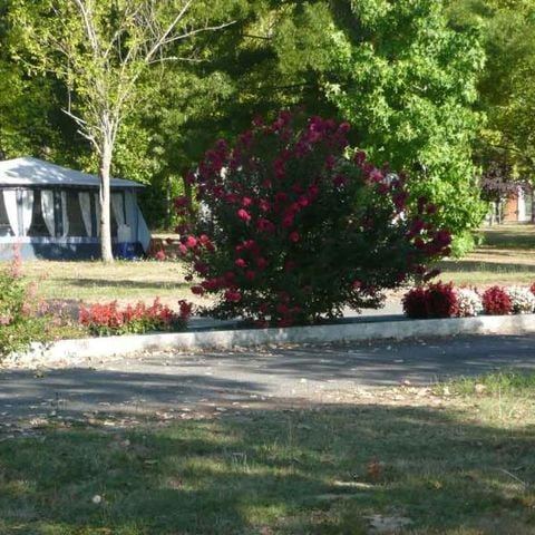 PIAZZOLA - Piazzola con tipo di veicolo 4