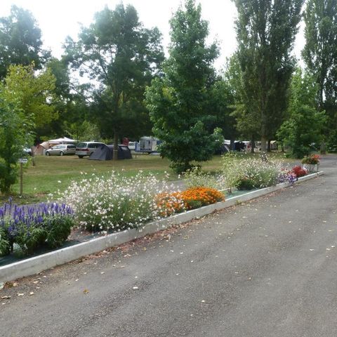 Kampeerplaats - Standplaats met voertuigtype 4