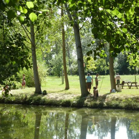 Camping Des Berges Du Gers - Camping Gers - Image N°3