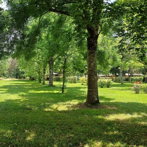 Camping Des Berges Du Gers - Camping Gers - Image N°4